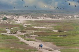 The Dunes of Texel by Brian Morgan