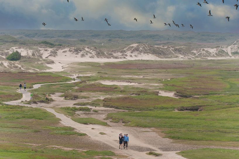 The Dunes of Texel by Brian Morgan