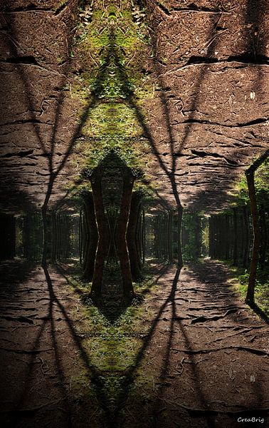 Spiegelend bos van CreaBrig Fotografie
