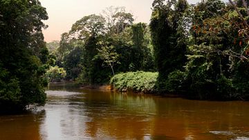 Het eiland Awarradam in Suriname van René Holtslag
