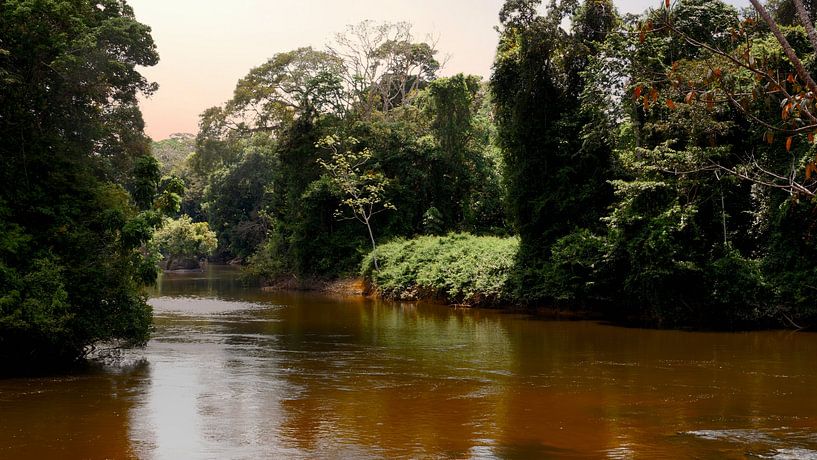 Die Insel Awarradam in Surinam von René Holtslag