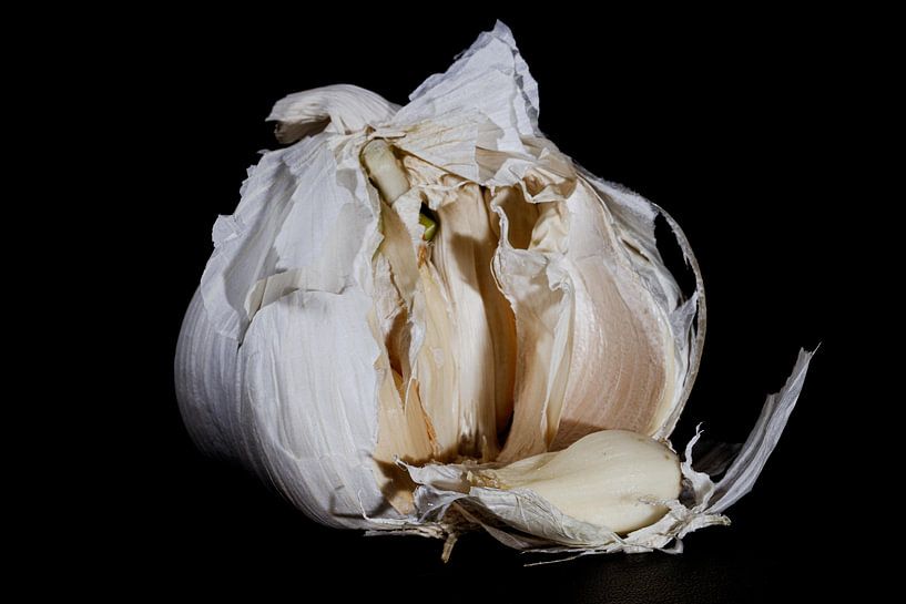 Knoblauch von Klaartje Majoor