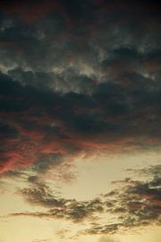 Canvas van de Algarve van Jasmijn van dort