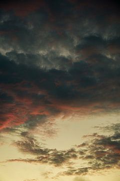 Canvas of the Algarve