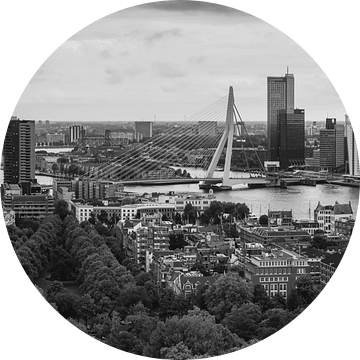 Panorama Skyline Rotterdam Euromast Zwart Wit van Vincent Fennis