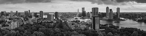 Panorama Rotterdam Euromast Schwarz-Weiss von Vincent Fennis