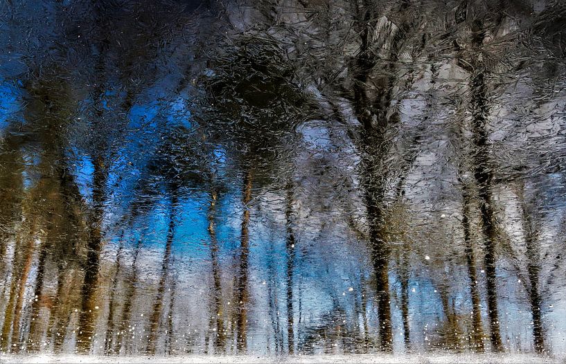 paysage de glace par Reinier de Rooie