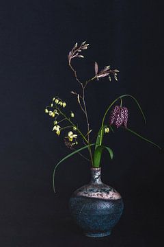 Blumenstrauß vor dunklem Hintergrund