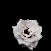 Rizwana Khan Profilfoto