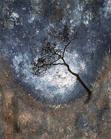 Baum im Tal 2