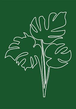 Minimalist Nature & Abstract Illustration Collection