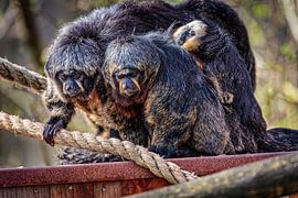 Beziehung zur Familie