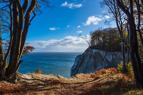 krijtrotsen aan de Baltische kust op het eiland Moen in Denemarken