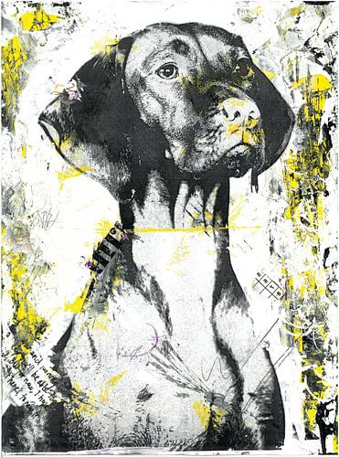 Vizsla sur Nora Bland