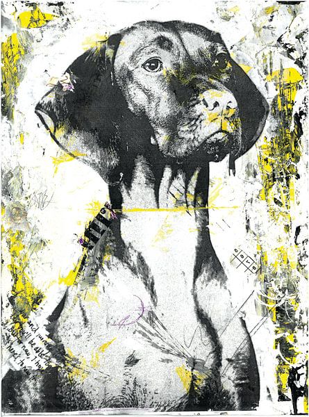 Vizsla von Nora Bland