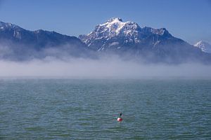 morgens am Forggensee