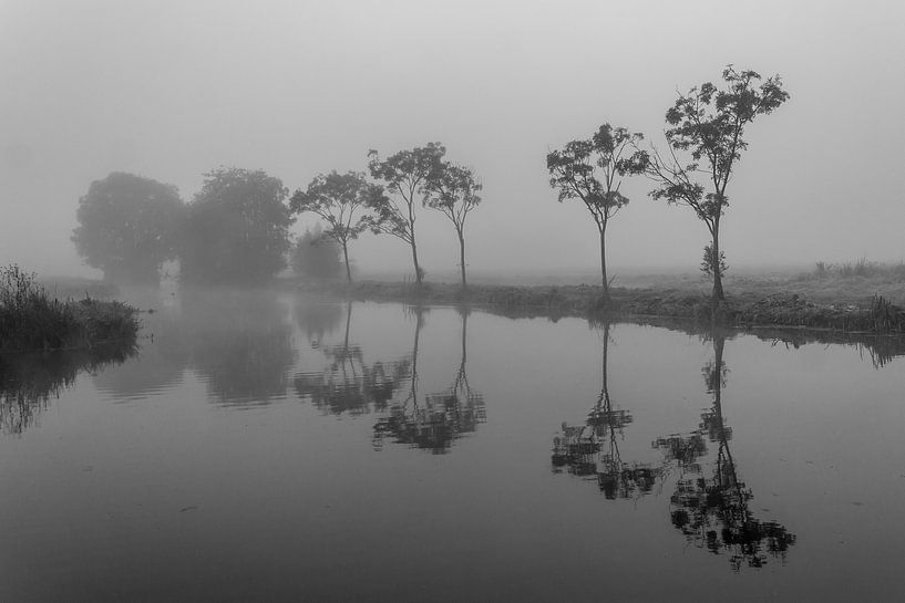 Bomenrij in de mist von Stephan Neven