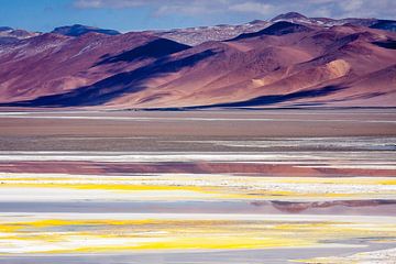 Salar de Atacama 1 van Eriks Photoshop by Erik Heuver