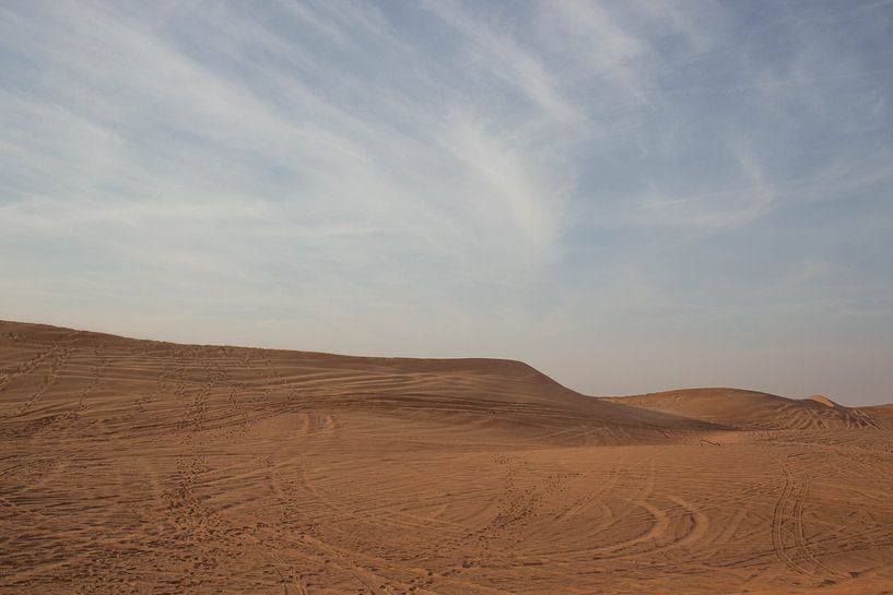 De Woestijn by Chantal Cornet