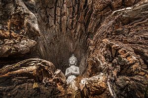 Eine Buddha-Statue in einem hohlen Baumstumpf