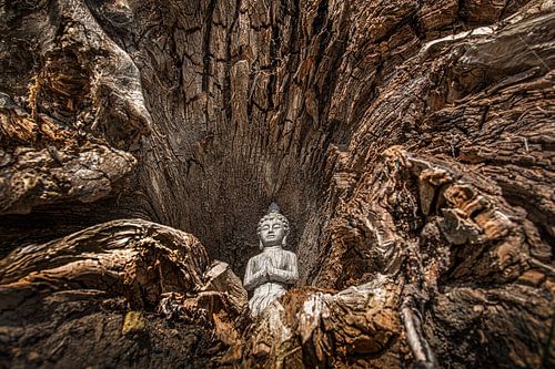 Eine Buddha-Statue in einem hohlen Baumstumpf