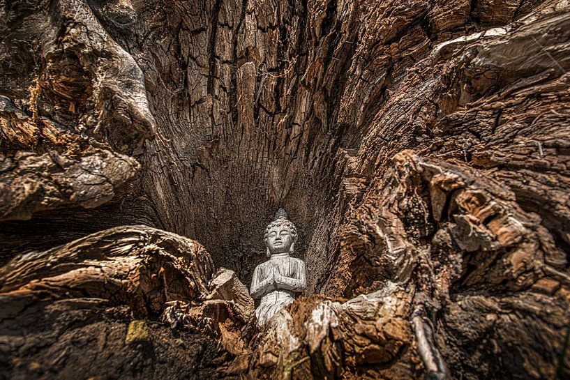 Une statue de Bouddha dans une souche d'arbre creuse par Harrie Muis