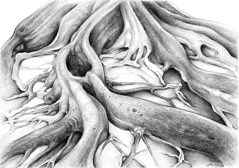 Ficus Macrophylla IV van Adriana Müller