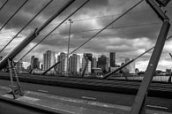 Skyline Rotterdam vanaf Erasmusbrug van Bart Veeken thumbnail