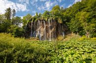 Nationalpark Plitvicer Seen in der Mitte Kroatiens von Joost Adriaanse Miniaturansicht
