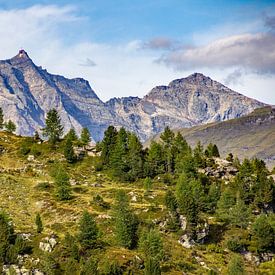 Une cabane de chasse avec le Sonnblick de Rauris en toile de fond sur Christa Kramer