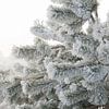 Winter by Alied Kreijkes-van De Belt