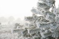 Winter van Alied Kreijkes-van De Belt thumbnail