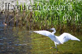 If you can dream it, you can do it by Iris van Bokhorst