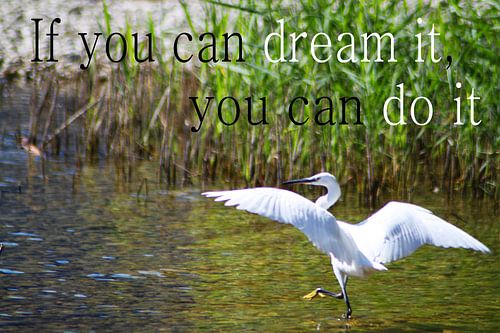 If you can dream it, you can do it