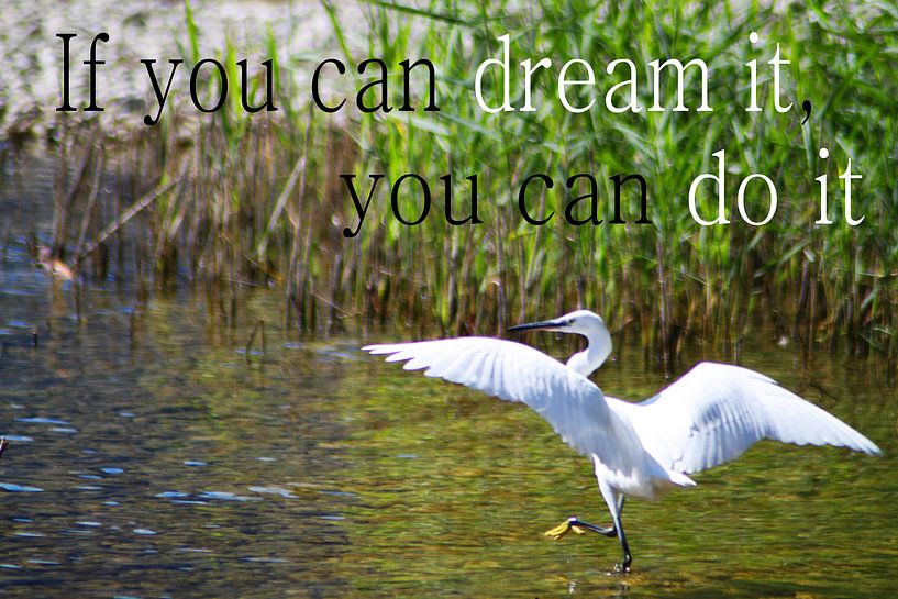If you can dream it, you can do it by Iris van Bokhorst