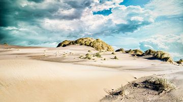 Kust Kennemerduinen met strand en duin van eric van der eijk