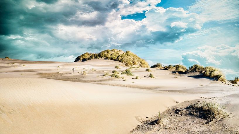 Kennemerduinen coast with beach and dunes by eric van der eijk
