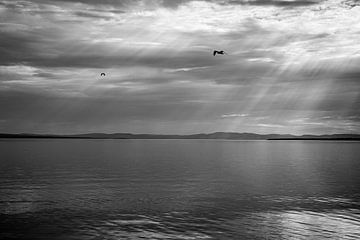 Sonnenstrahlen über einem See von Dennis Claessens
