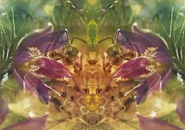 Heilender Stich von Andreas Schulte