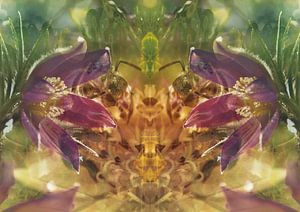 Heilender Stich