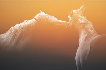 Fluistering bij Zonsopgang - Harmonie tussen Twee Paarden van Femke Ketelaar