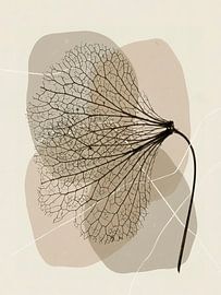 Japandi / Wabi-Sabi. Minimalist Organic leaf shape by Studio Pieternel