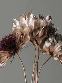Dried flowers on natural clear background Metallic silver by Esmeé Kiewiet