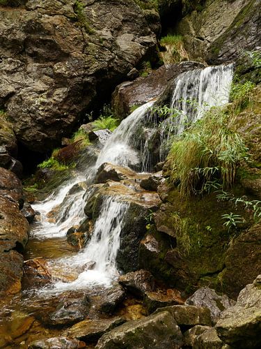 Riesloch Rieslochfälle bei Bodenmais, Bayern 8