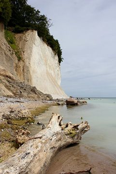 Kreideküste von Ostsee Bilder