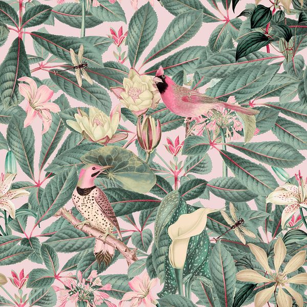 Birds Summer Paradise von Andrea Haase