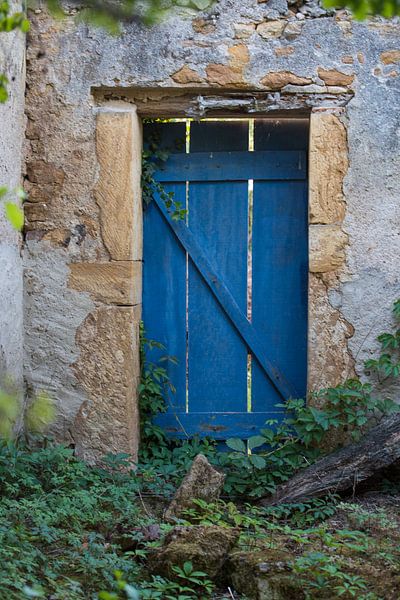 porte bleue par Dick Carlier