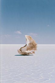 Sea Memory von Treechild