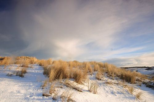 Ameland winterwonderland