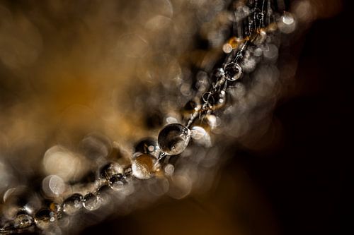 Chique natuurlijke abstractie - een lijn met druppels van Marjolijn van den Berg